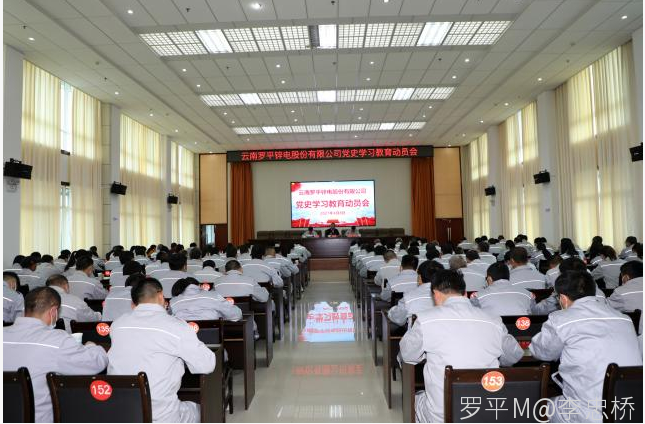 乐玩手机在线登入,乐玩(中国)召开党史学习教育动员会